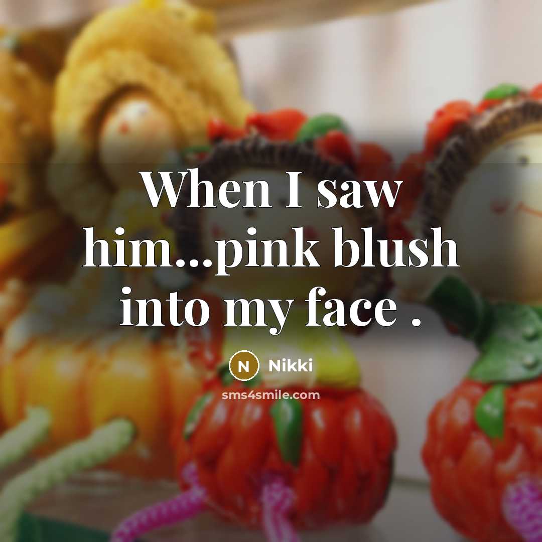 “When I saw him...pink blush into my face .…” quote by Nikki