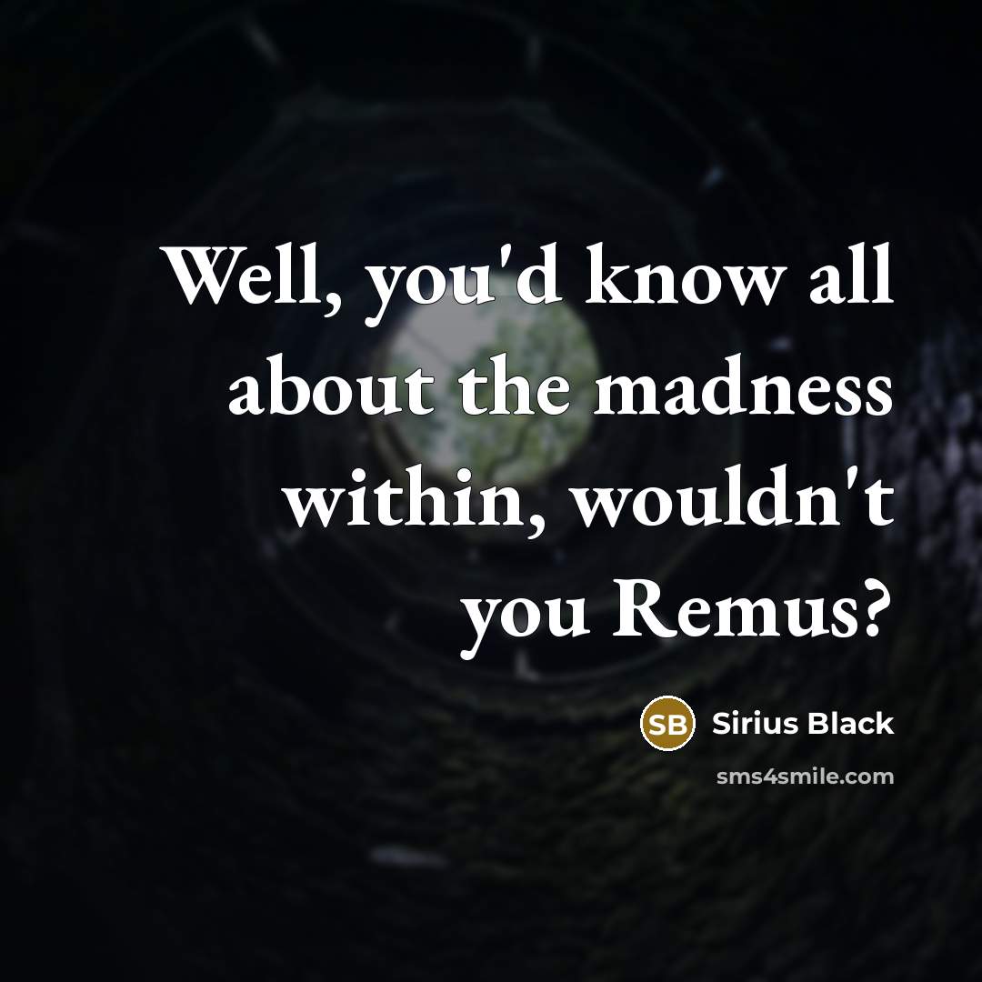 “Well, you'd know all about the madness within, wouldn't you…” quote by Sirius Black