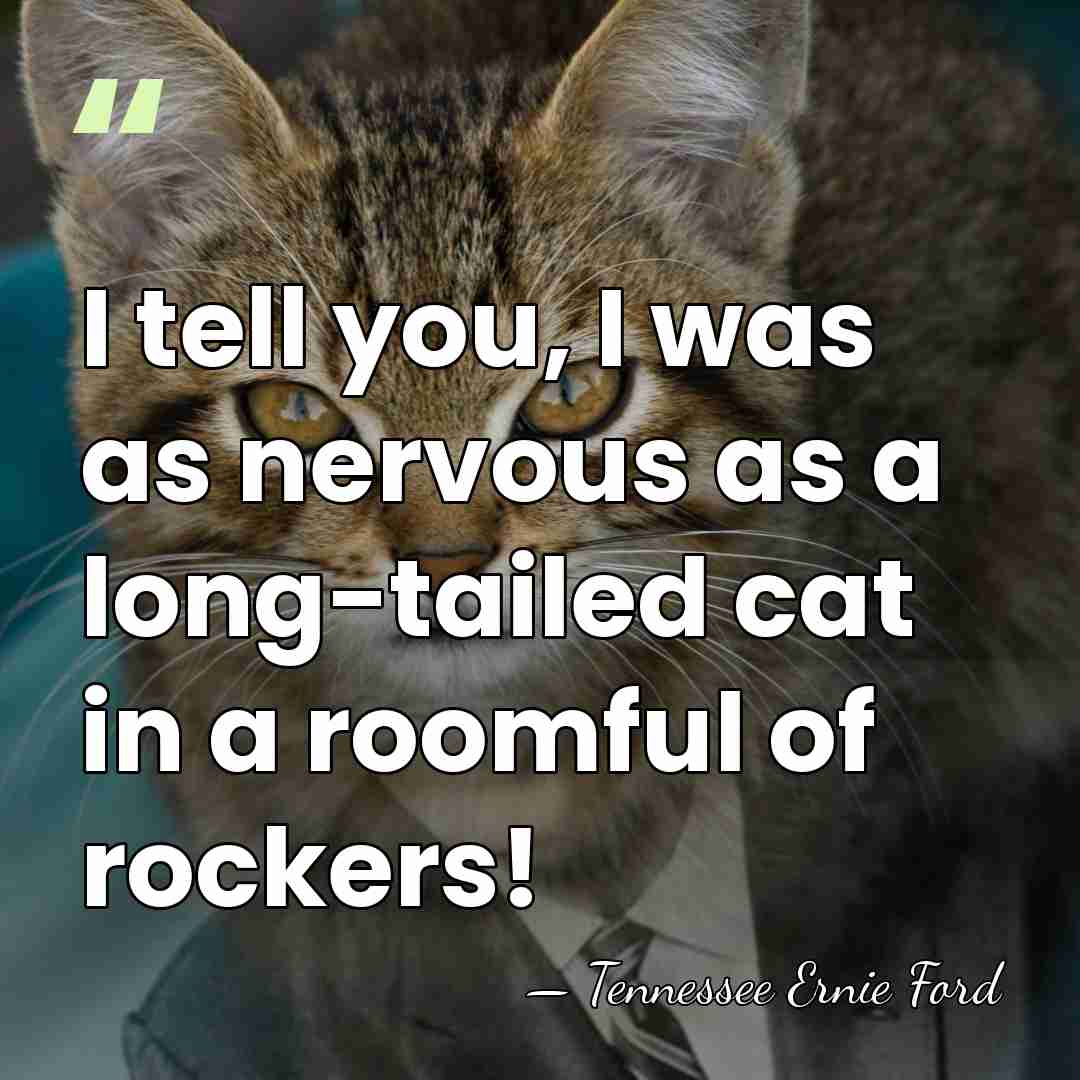 I tell you, I was as nervous as a long-tailed cat in&hellip; - Tennessee Ernie Ford