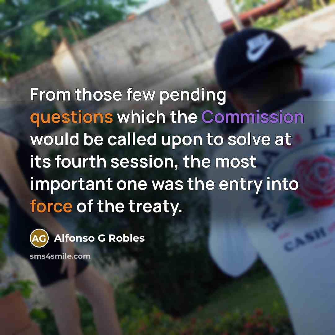 “From those few pending questions which the Commission would be called upon to solve at its fourth session, the most important one was the entry into force of the treaty.” quote by Alfonso G Robles