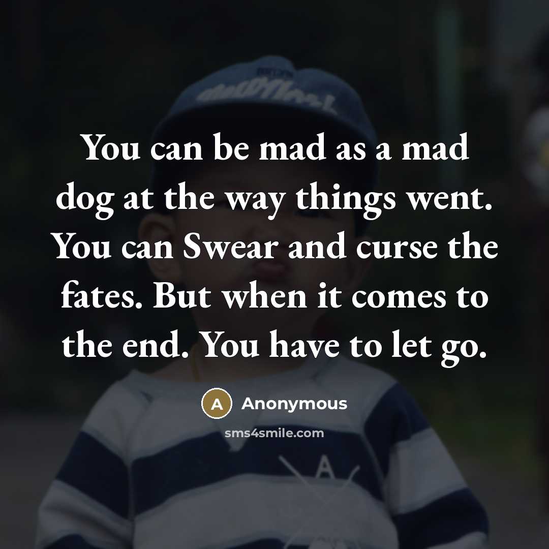 “You can be mad as a mad dog at the…” quote by Anonymous