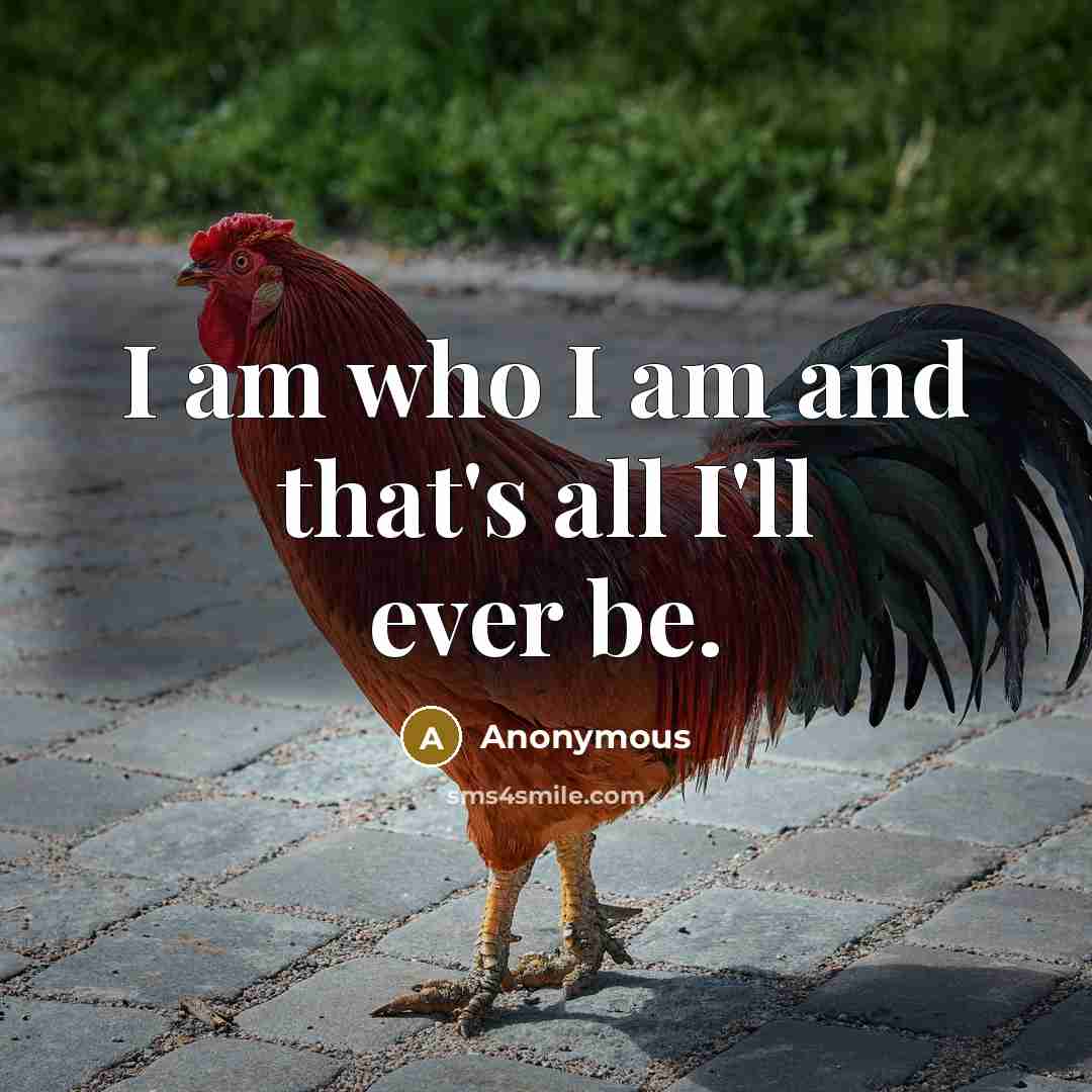 “I am who I am and that's all I'll ever…” quote by Anonymous