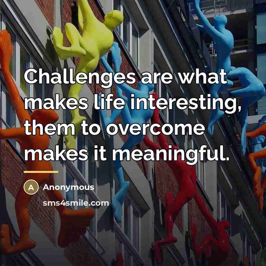“Challenges are what makes life interesting, them to overcome makes…” quote by Anonymous