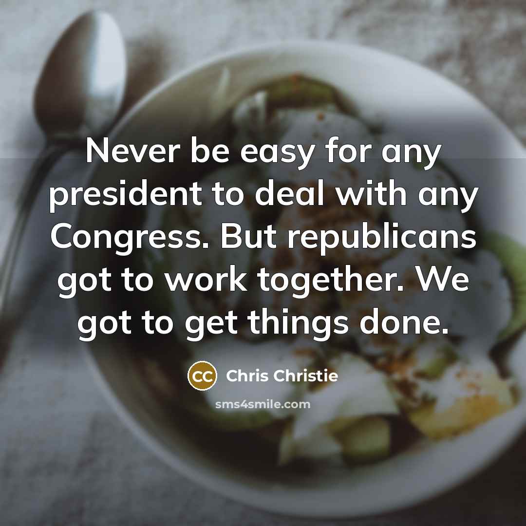 “Never be easy for any president to deal with any…” quote by Chris Christie