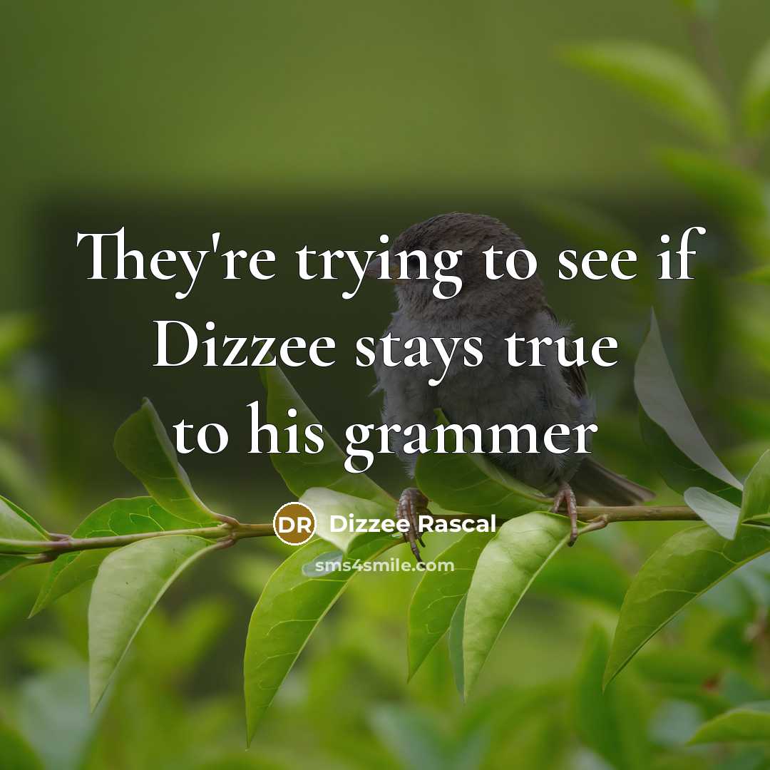 “They're trying to see if Dizzee stays true to his…” quote by Dizzee Rascal