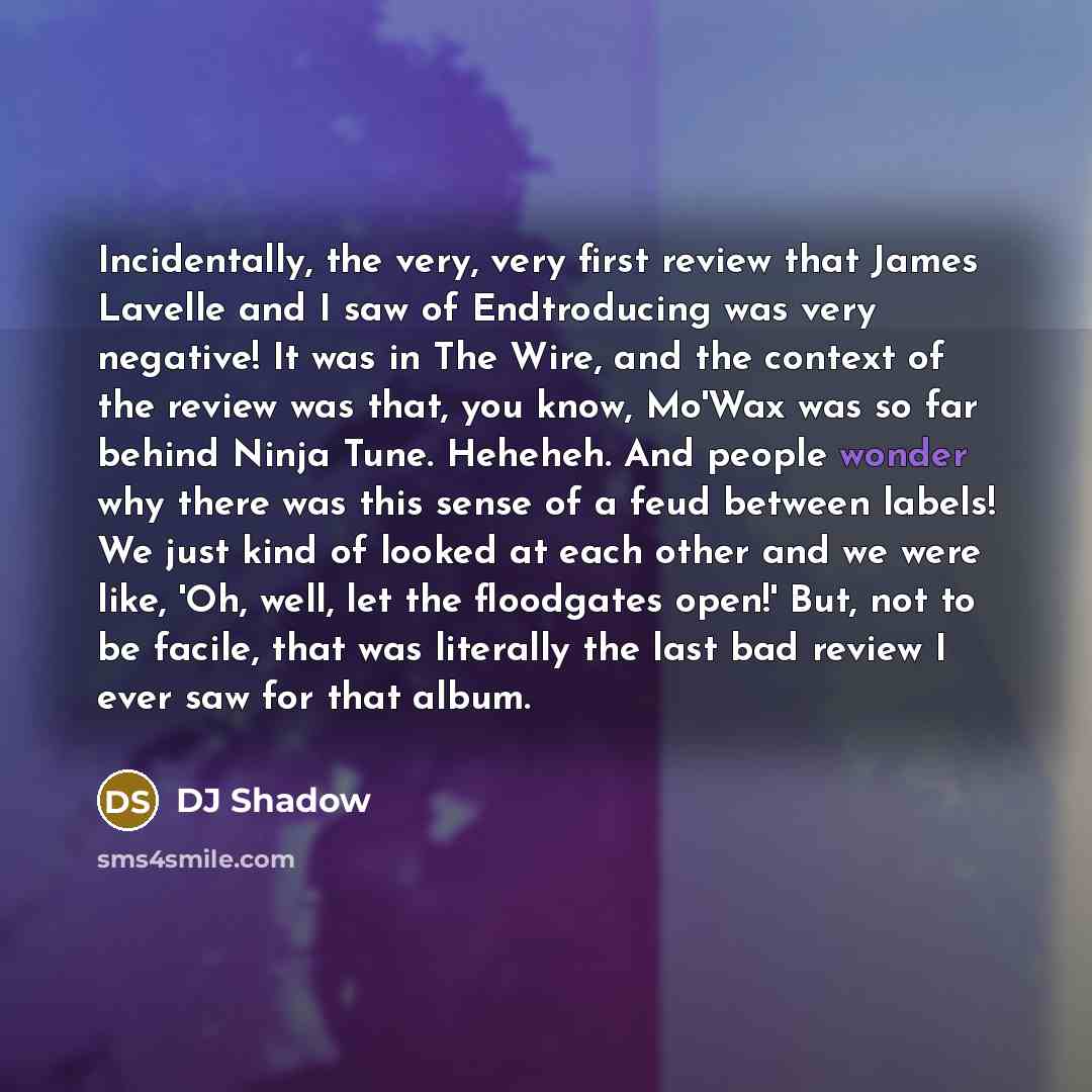 “Incidentally, the very, very first review that James Lavelle and I saw of Endtroducing was very negative! It was in The Wire, and the context of the review was that, you know, Mo'Wax was so far behind Ninja Tune. Heheheh. And people wonder why there was this sense of a feud between labels! We just…” quote by DJ Shadow