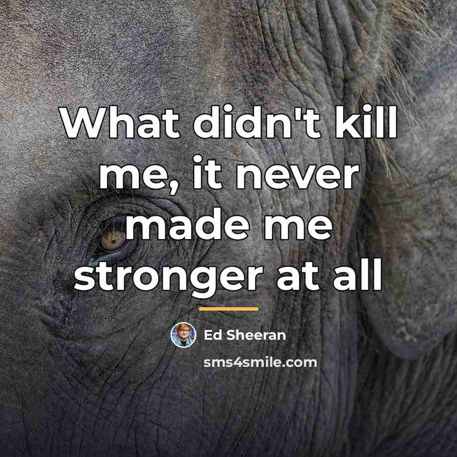 “What didn't kill me, it never made me stronger at…” quote by Ed Sheeran