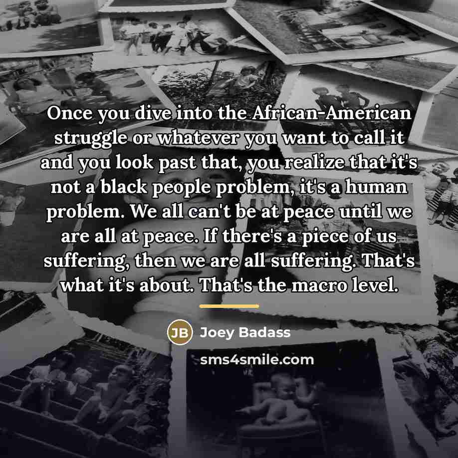 “Once you dive into the African-American struggle or whatever you…” quote by Joey Badass