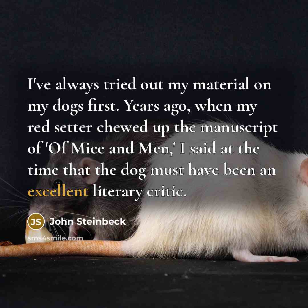 “I've always tried out my material on my dogs first.…” quote by John Steinbeck