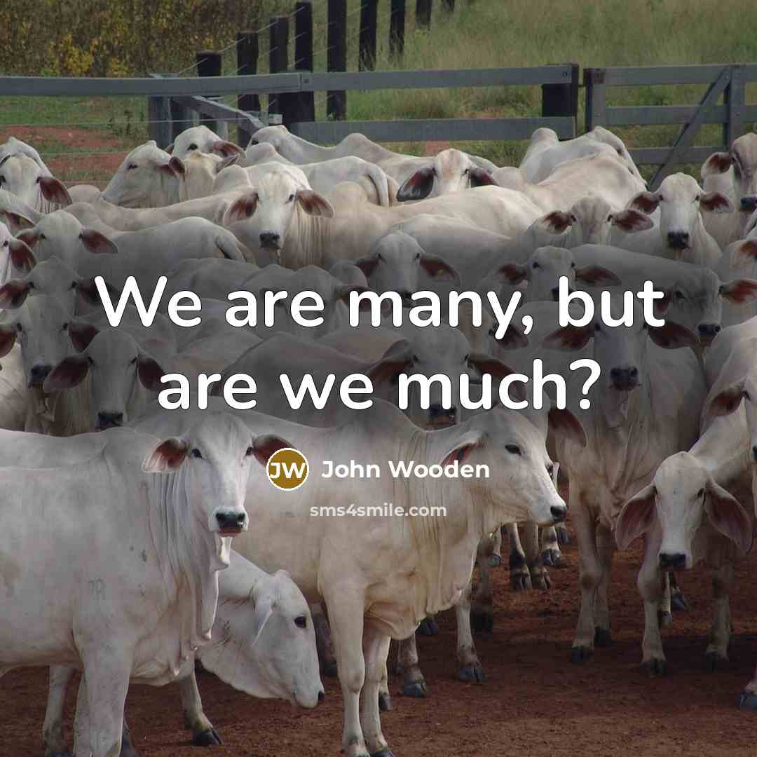 “We are many, but are we much?…” quote by John Wooden