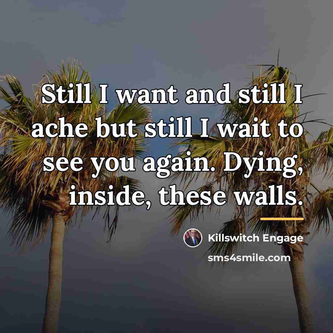 “Still I want and still I ache but still I…” quote by Killswitch Engage