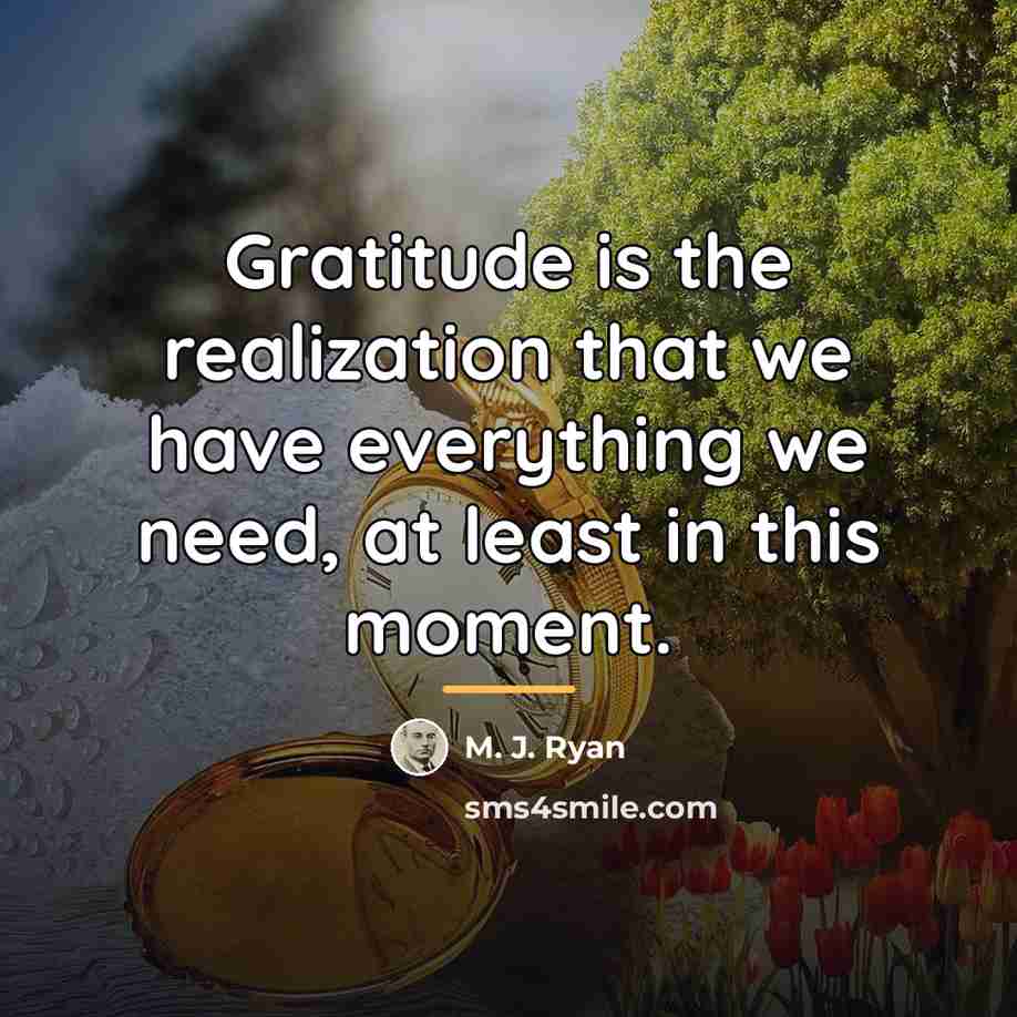 “Gratitude is the realization that we have everything we need,…” quote by M. J. Ryan