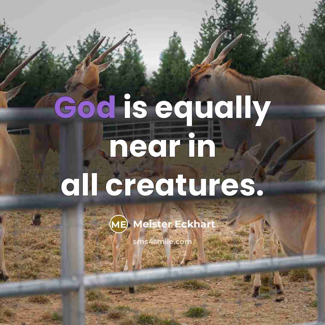 “God is equally near in all creatures.…” quote by Meister Eckhart