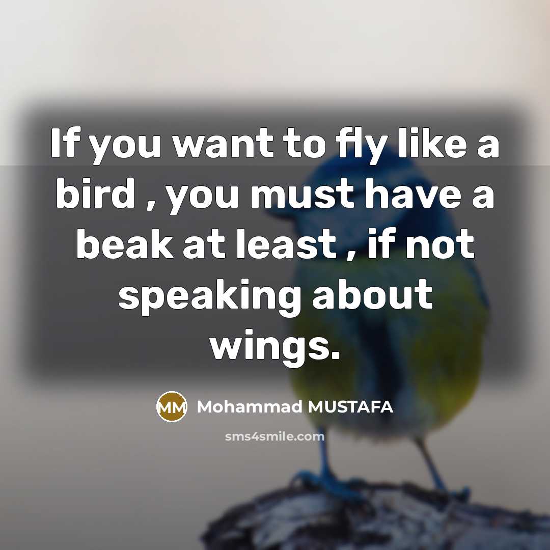 “If you want to fly like a bird , you…” quote by Mohammad MUSTAFA