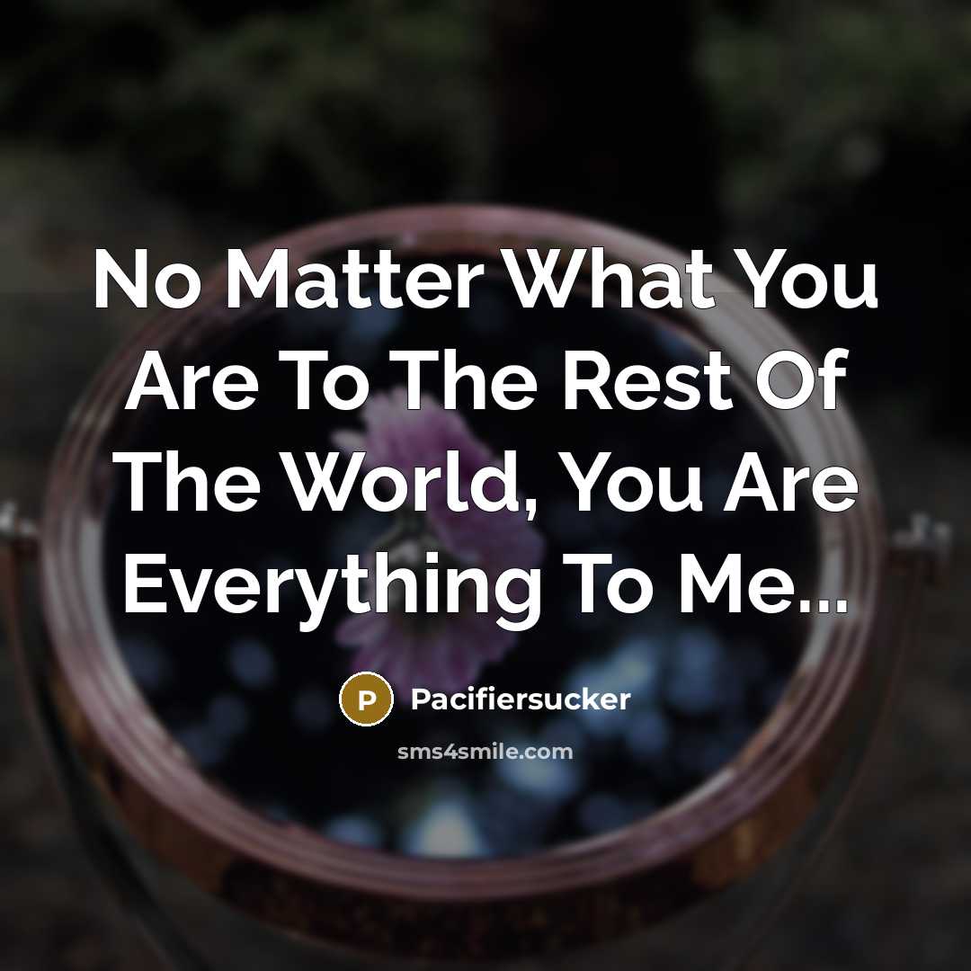 “No Matter What You Are To The Rest Of The…” quote by Pacifiersucker