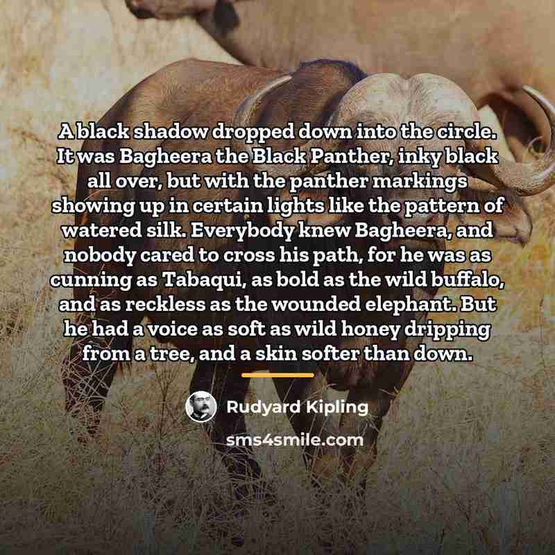 “A black shadow dropped down into the circle. It was…” quote by Rudyard Kipling