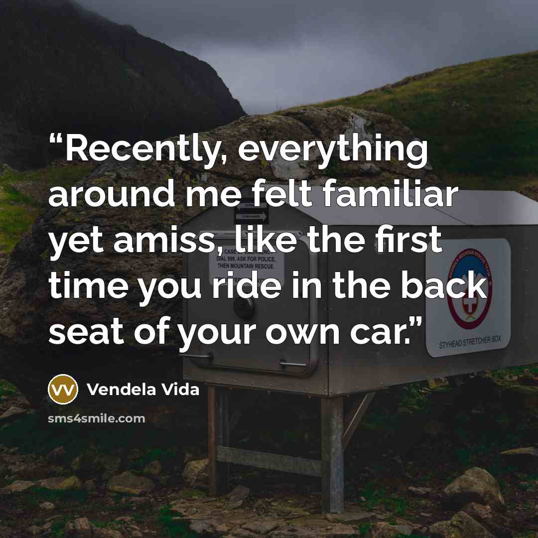 “Recently, everything around me felt familiar yet amiss, like the first time you ride in the back seat of your own car.” quote by Vendela Vida