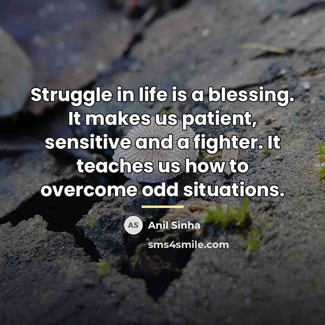 “Struggle in life is a blessing. It makes us patient,…” quote by Anil Sinha