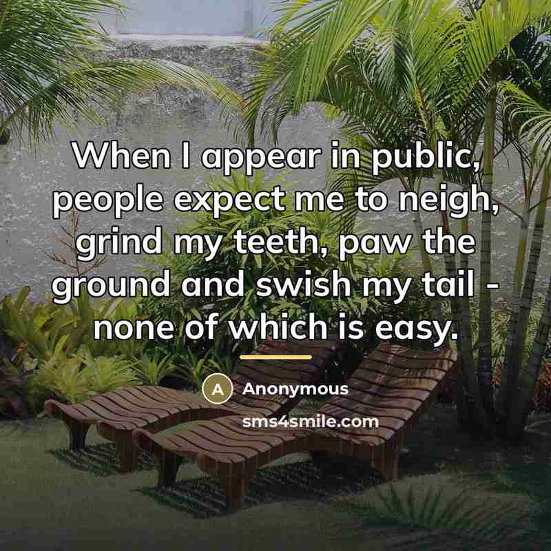 “When I appear in public, people expect me to neigh,…” quote by Anonymous