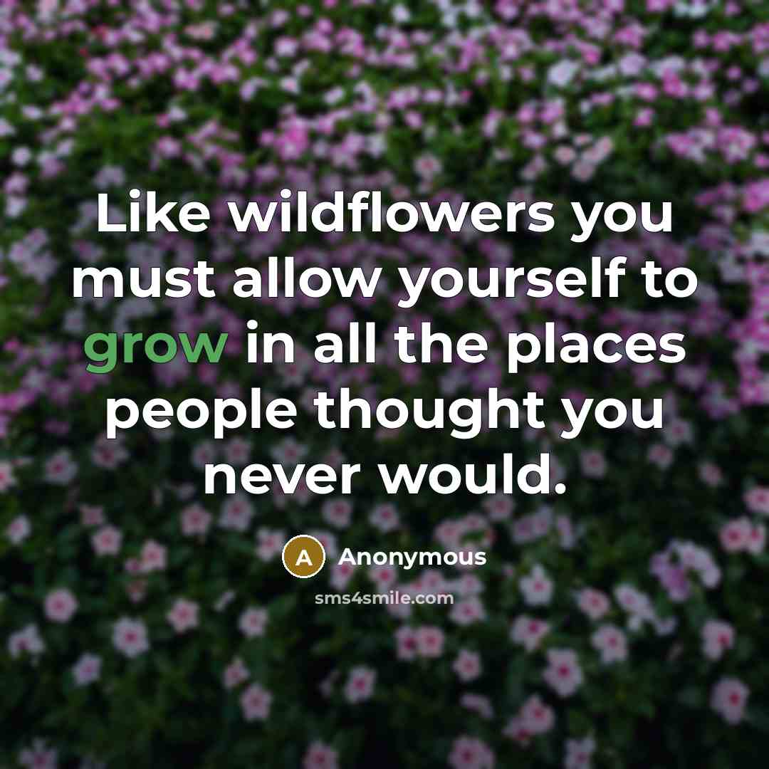 “Like wildflowers you must allow yourself to grow in all…” quote by Anonymous