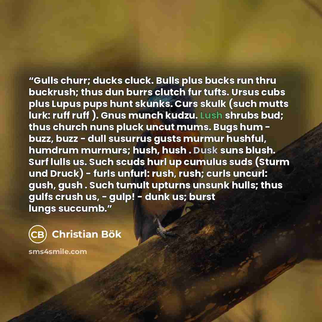 “Gulls churr; ducks cluck. Bulls plus bucks run thru buckrush; thus dun burrs clutch fur tufts. Ursus cubs plus Lupus pups hunt skunks. Curs skulk (such mutts lurk: ruff ruff ). Gnus munch kudzu. Lush shrubs bud; thus church nuns pluck uncut mums. Bugs hum - buzz, buzz - dull susurrus gusts murmur…” quote by Christian Bök