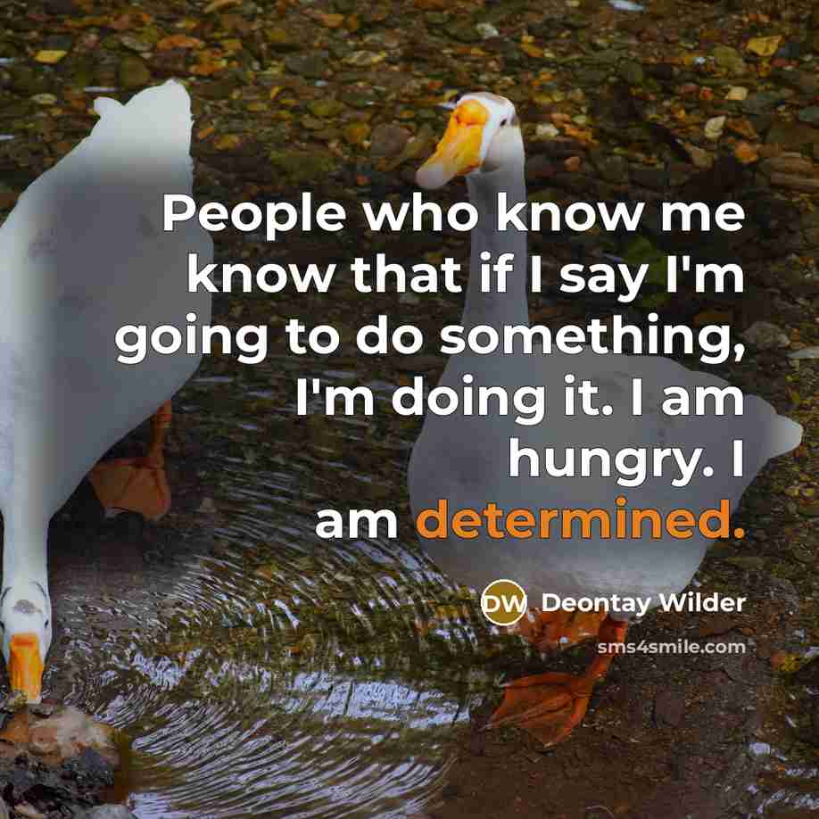 “People who know me know that if I say I'm…” quote by Deontay Wilder
