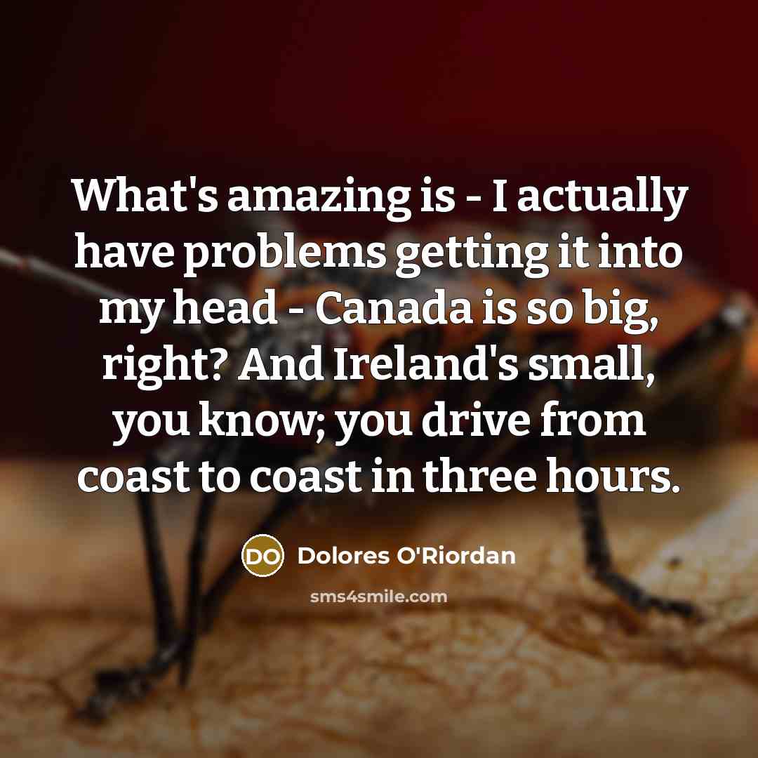 “What's amazing is - I actually have problems getting it…” quote by Dolores O'Riordan