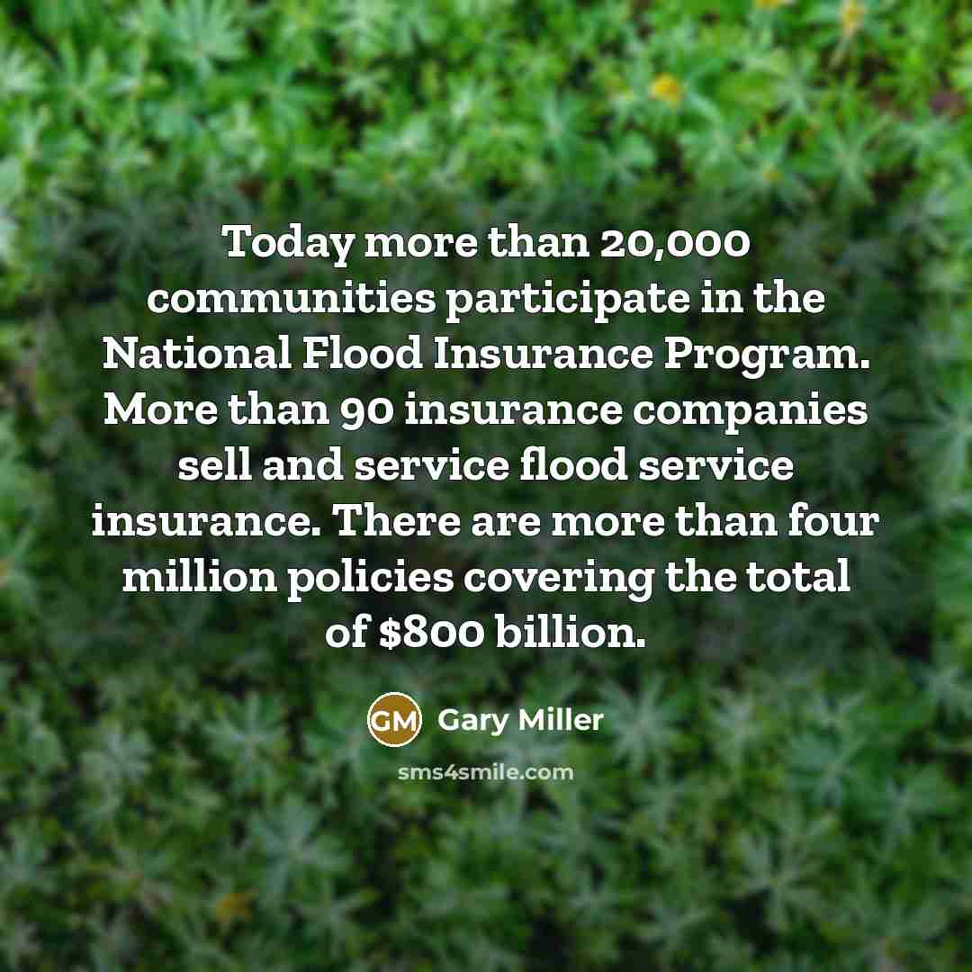 “Today more than 20,000 communities participate in the National Flood…” quote by Gary Miller