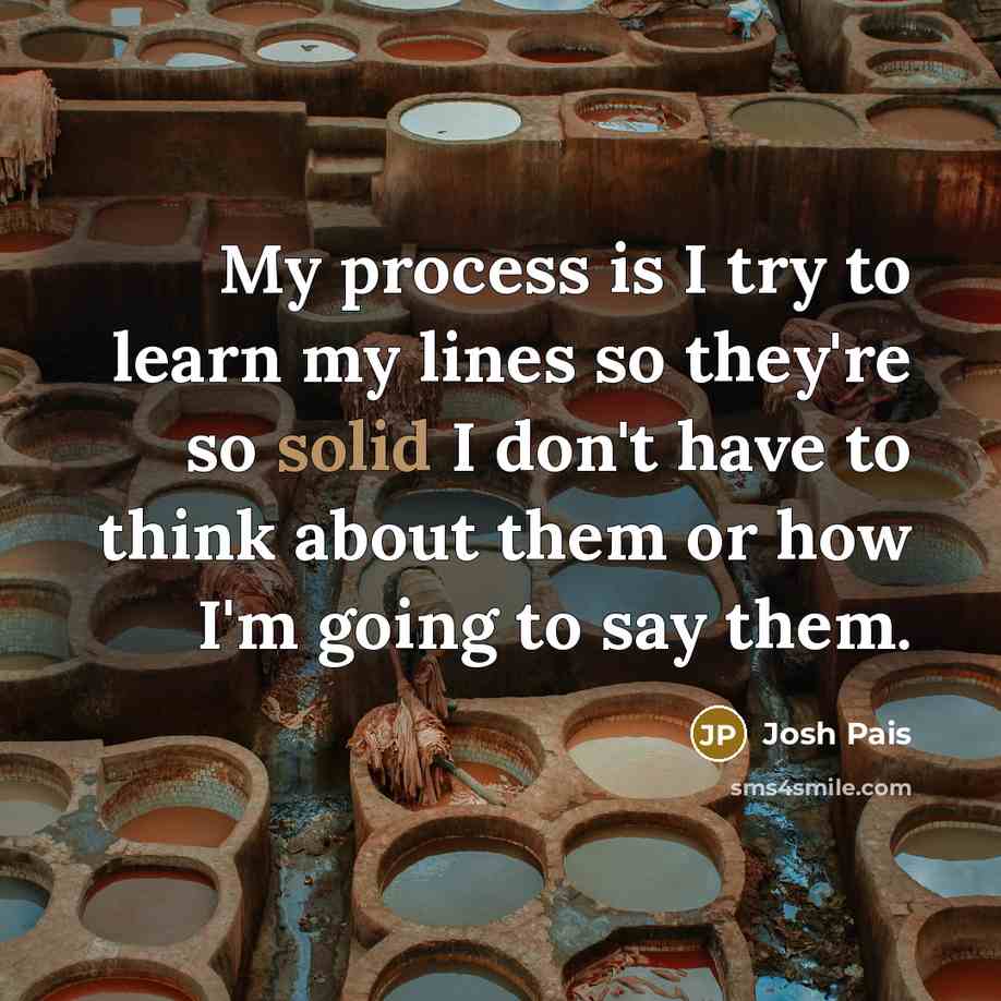 “My process is I try to learn my lines so…” quote by Josh Pais