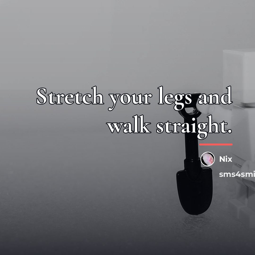 “Stretch your legs and walk straight.…” quote by Nix