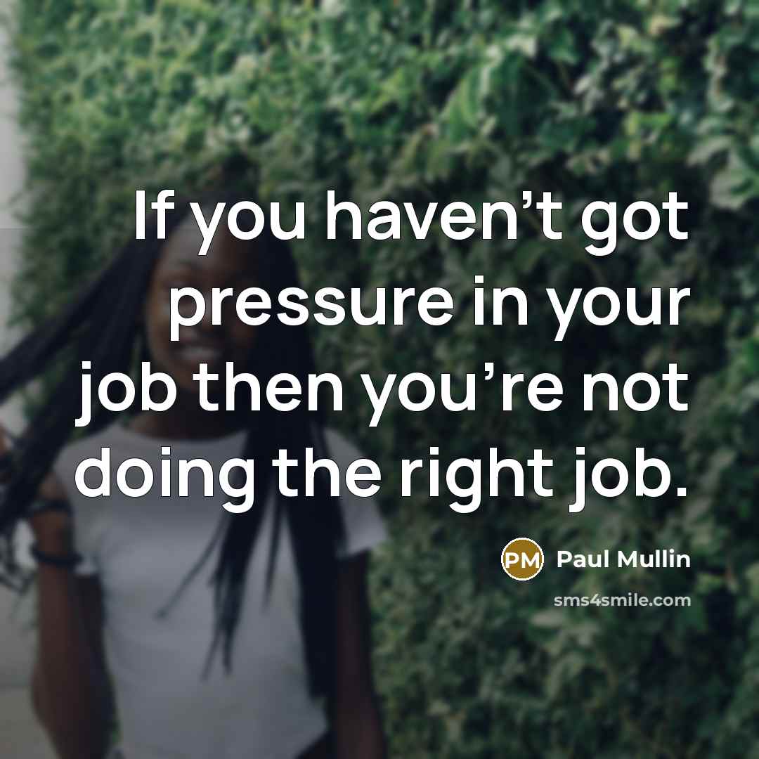 “If you haven't got pressure in your job then you're…” quote by Paul Mullin