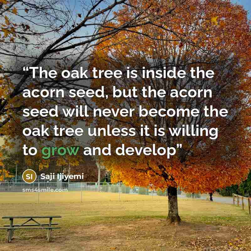 “The oak tree is inside the acorn seed, but the acorn seed will never become the oak tree unless it is willing to grow and develop” quote by Saji Ijiyemi