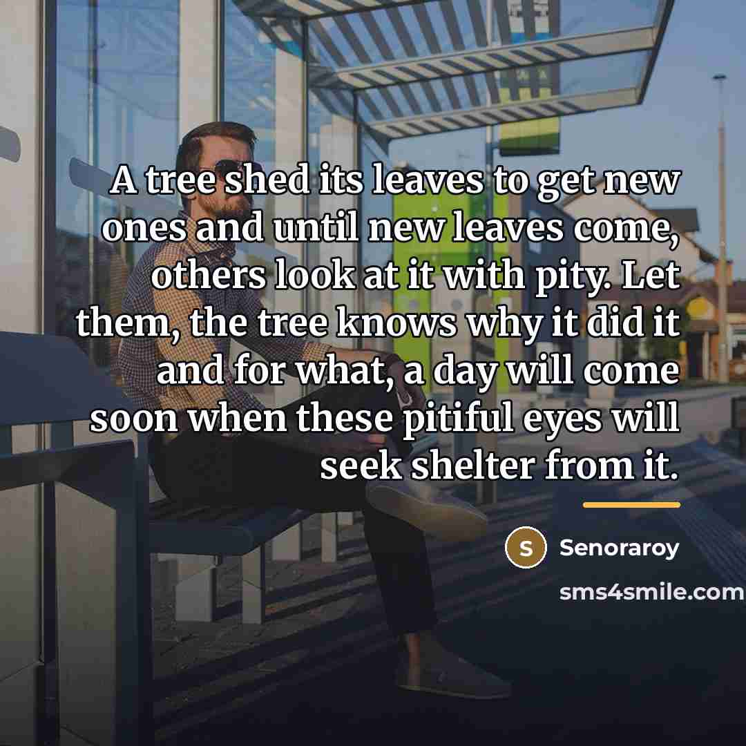 “A tree shed its leaves to get new ones and…” quote by Senoraroy