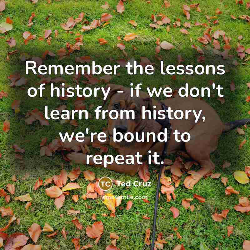 “Remember the lessons of history - if we don't learn…” quote by Ted Cruz