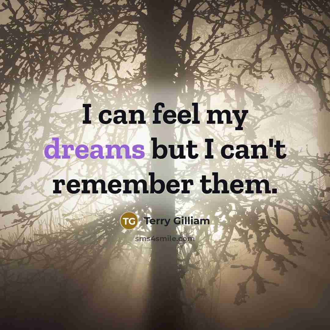 “I can feel my dreams but I can't remember them.…” quote by Terry Gilliam