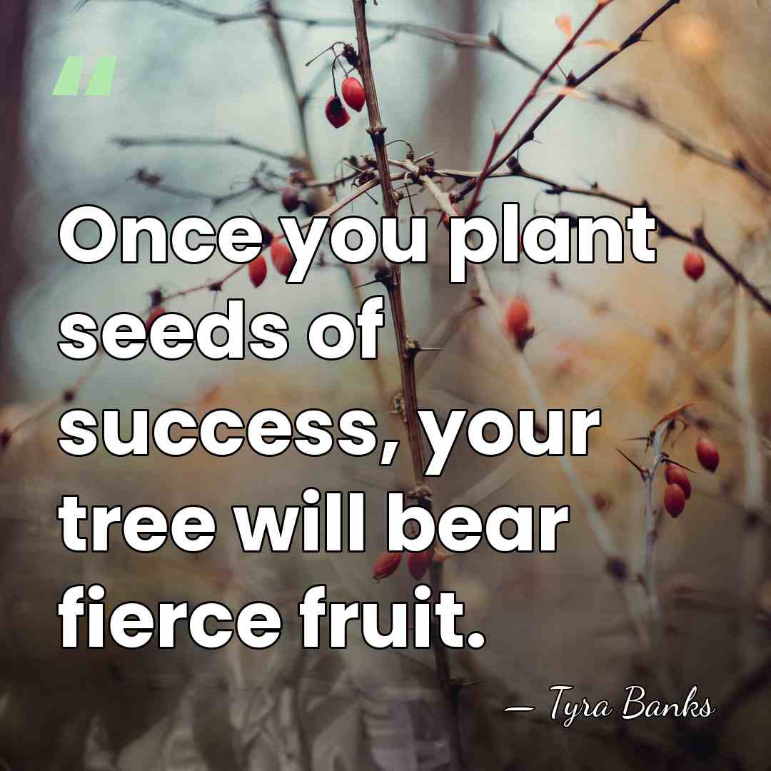Once you plant seeds of success, your tree will bear fierce fruit. - Tyra Banks