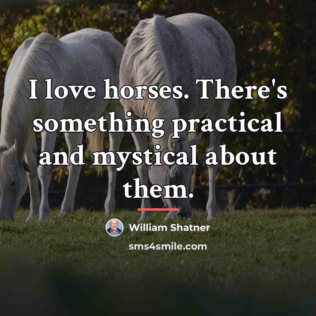 “I love horses. There's something practical and mystical about them.…” quote by William Shatner
