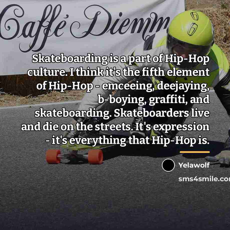 “Skateboarding is a part of Hip-Hop culture. I think it's…” quote by Yelawolf