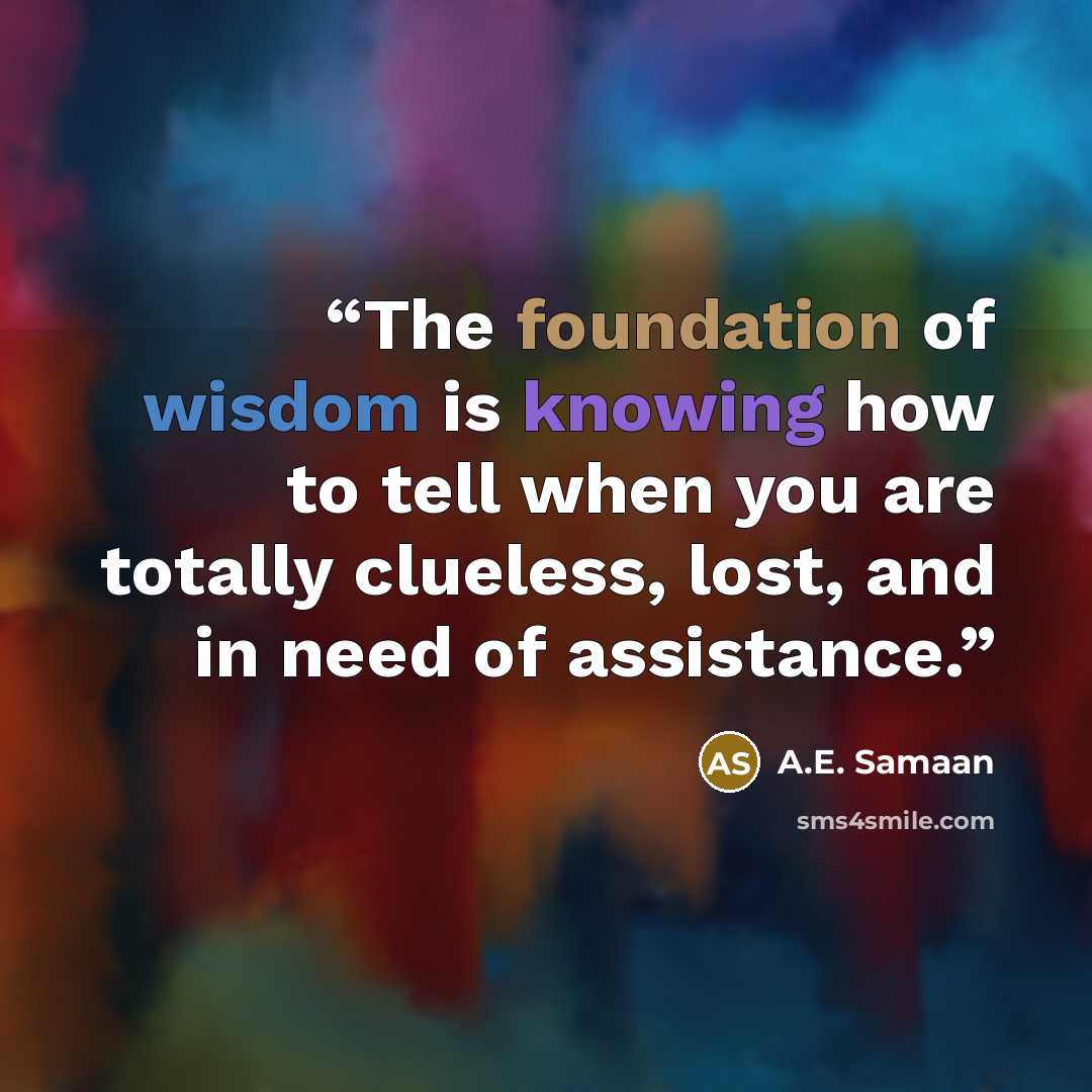 “The foundation of wisdom is knowing how to tell when you are totally clueless, lost, and in need of assistance.” quote by A.E. Samaan