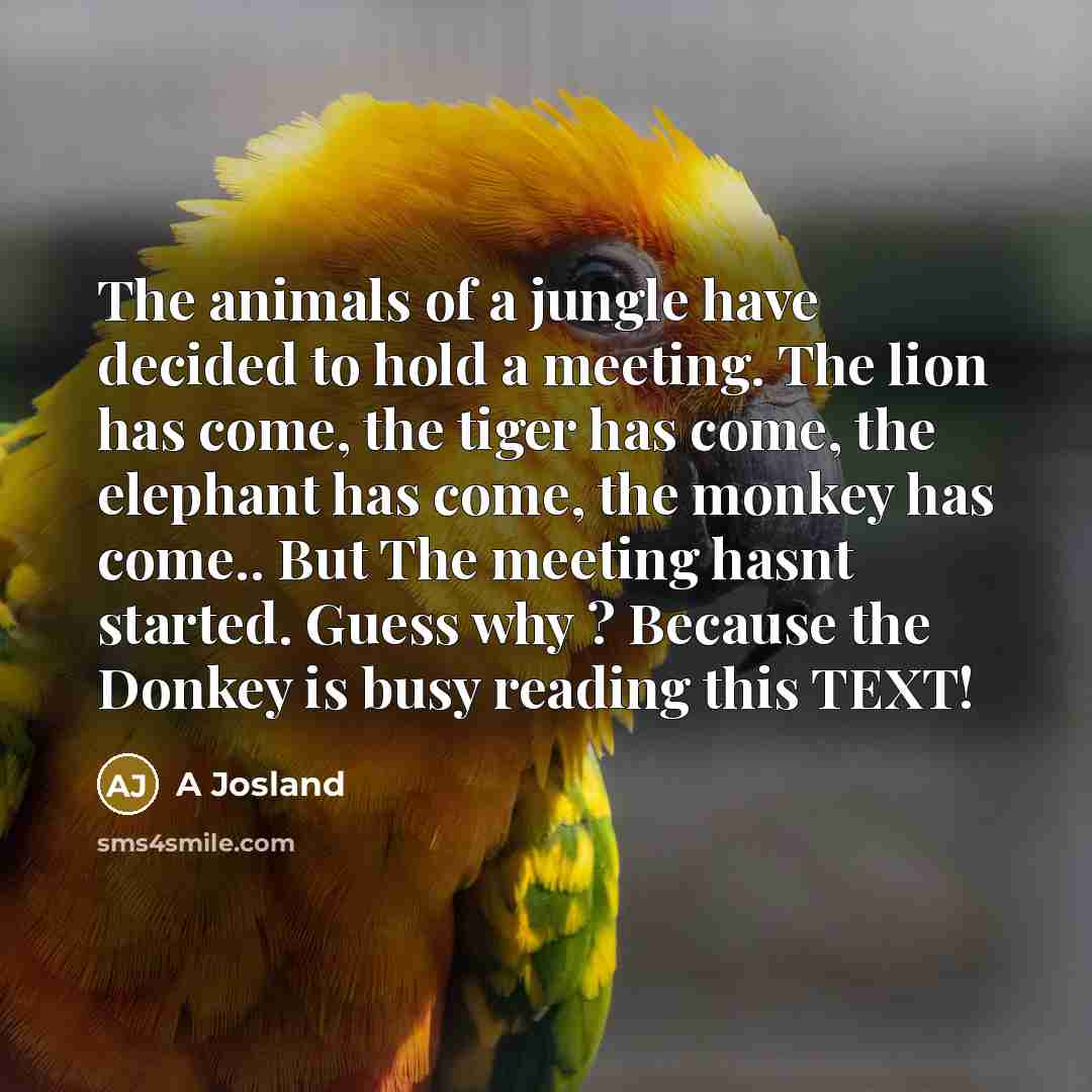 “The animals of a jungle have decided to hold a…” quote by A Josland