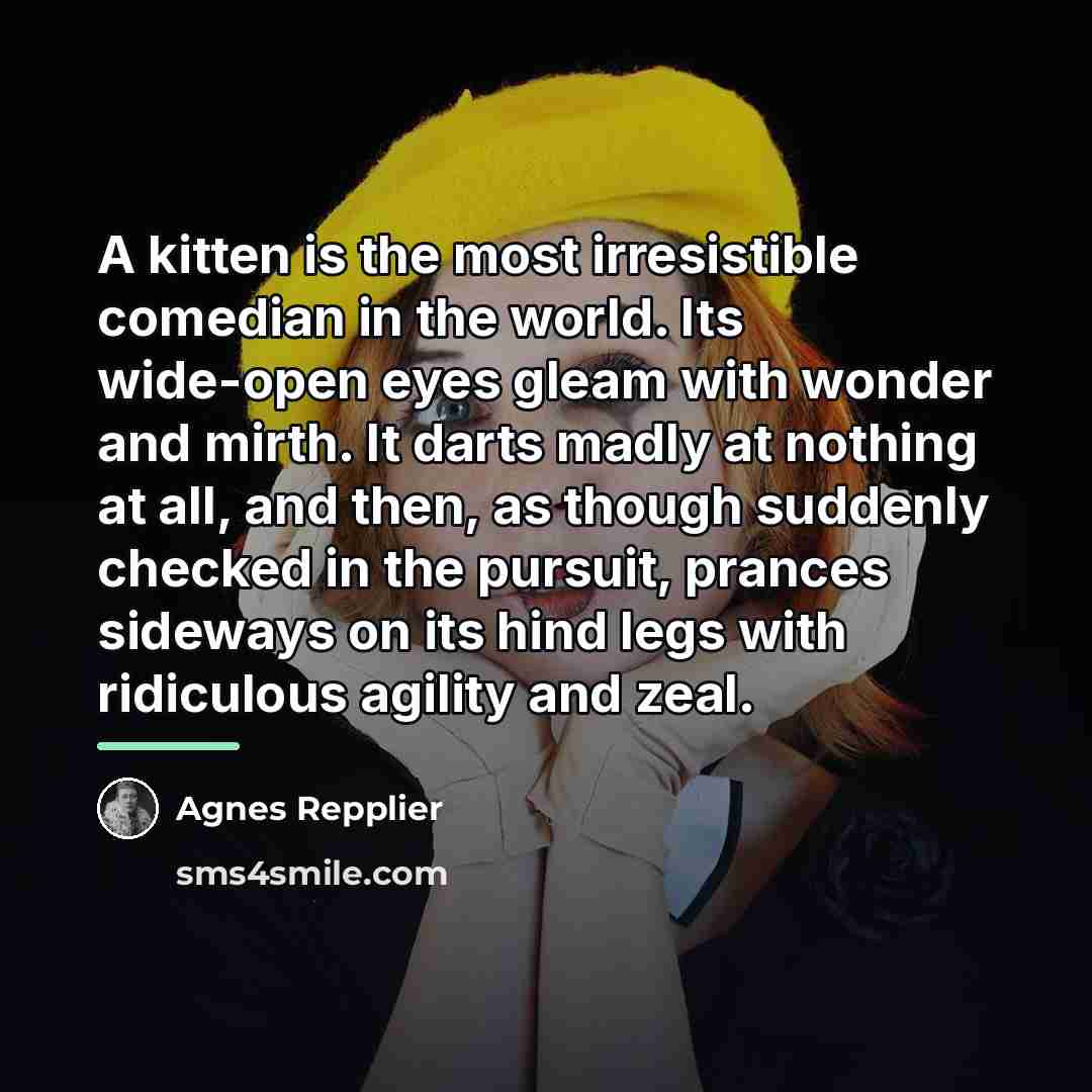 “A kitten is the most irresistible comedian in the world.…” quote by Agnes Repplier