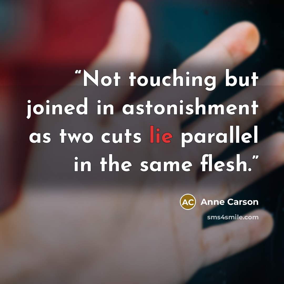 “Not touching but joined in astonishment as two cuts lie parallel in the same flesh.” quote by Anne Carson