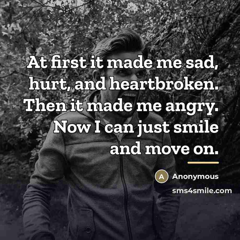 “At first it made me sad, hurt, and heartbroken. Then…” quote by Anonymous