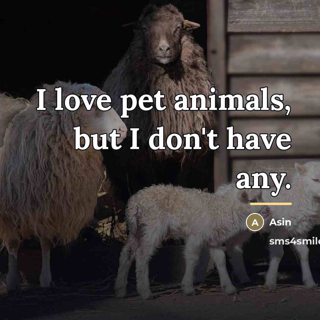“I love pet animals, but I don't have any.…” quote by Asin