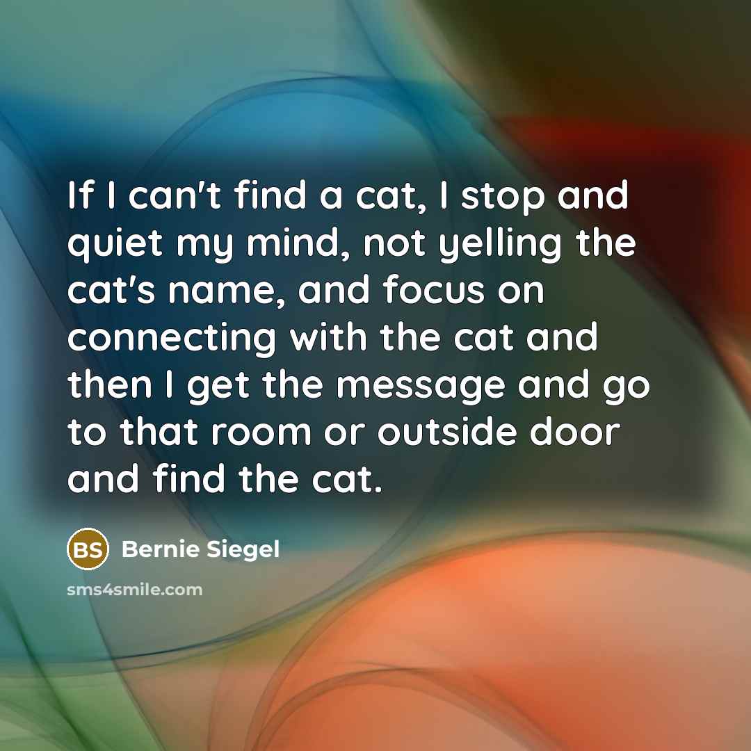 “If I can't find a cat, I stop and quiet…” quote by Bernie Siegel