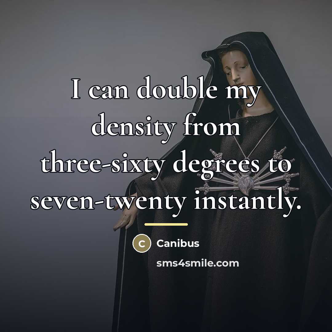 “I can double my density from three-sixty degrees to seven-twenty…” quote by Canibus