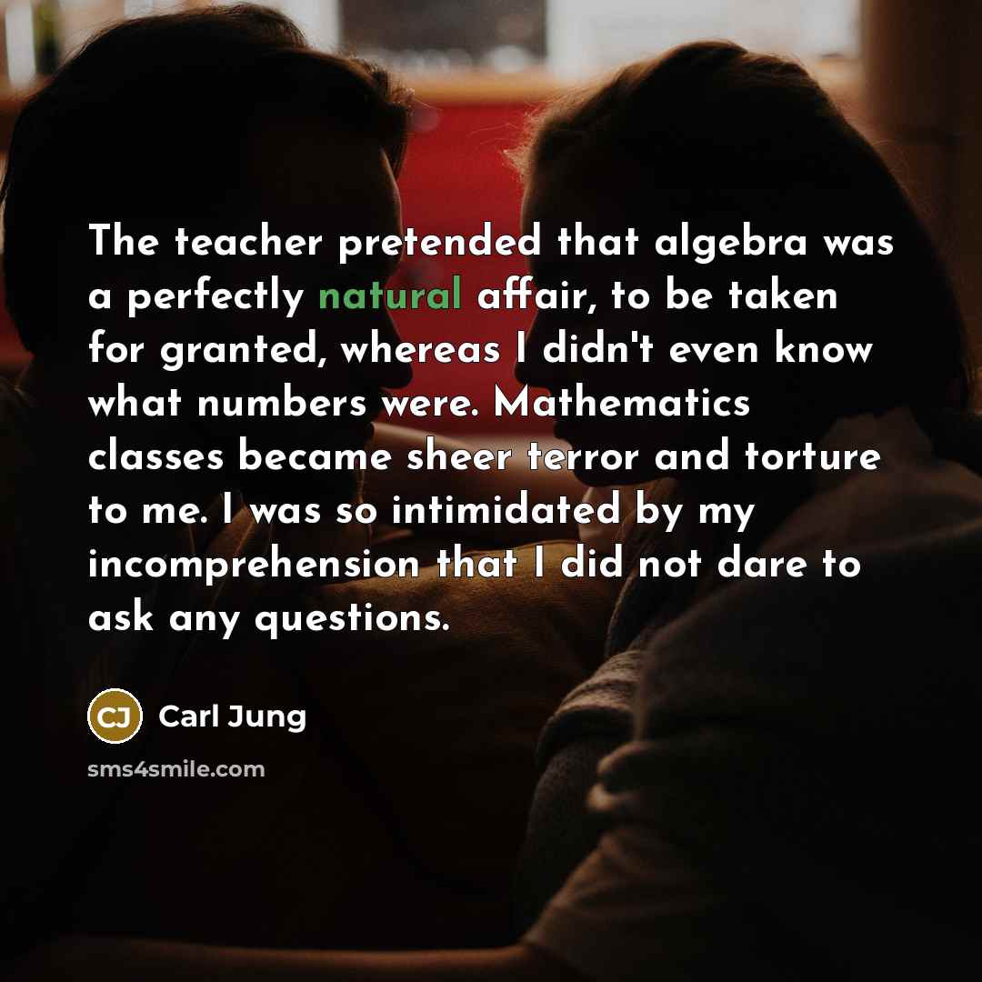 “The teacher pretended that algebra was a perfectly natural affair,…” quote by Carl Jung