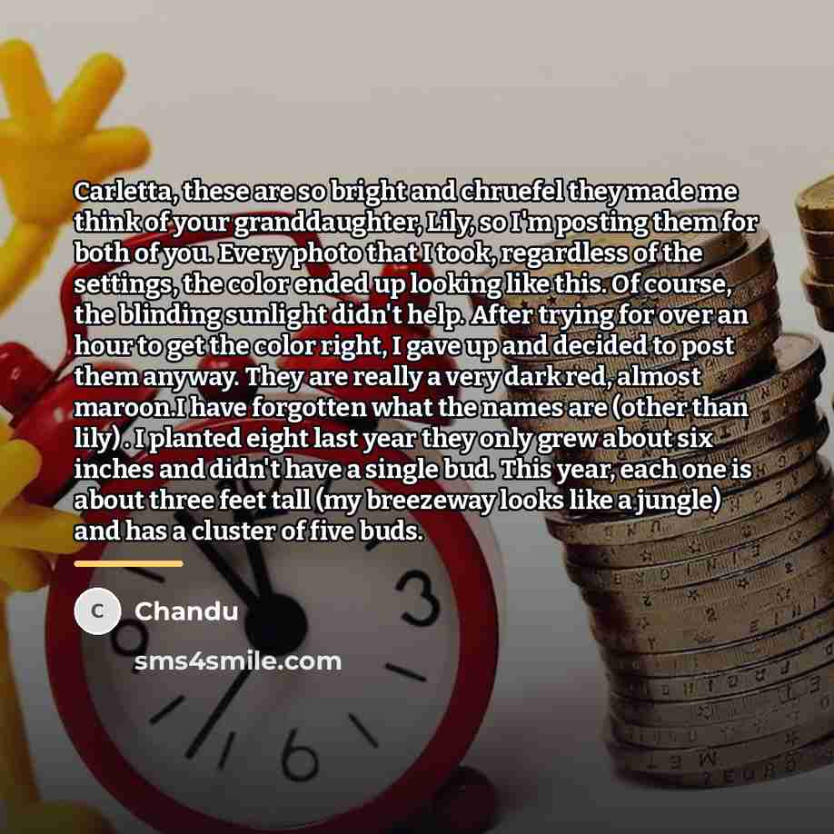 “Carletta, these are so bright and chruefel they made me…” quote by Chandu