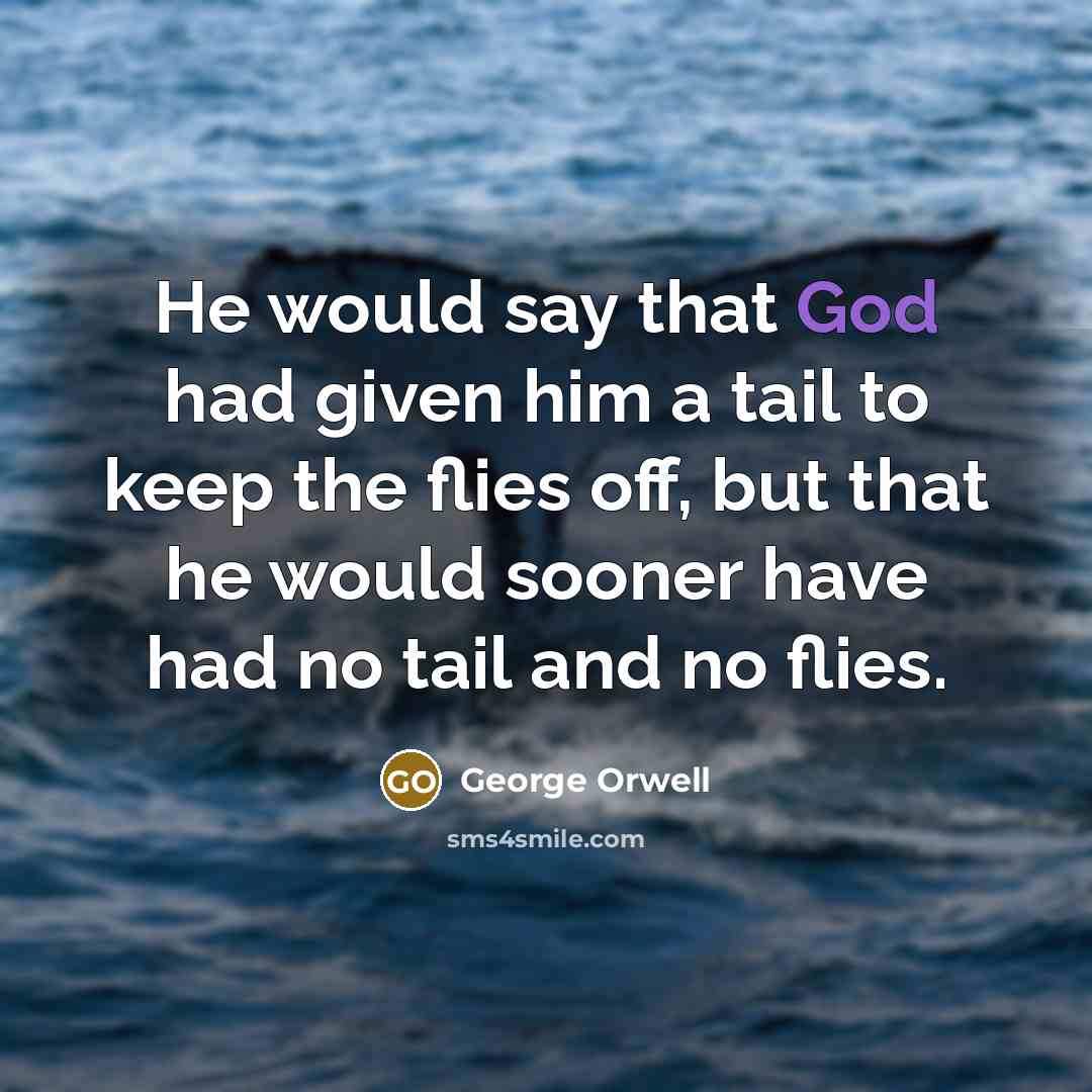 “He would say that God had given him a tail to keep the flies off, but that he would sooner have had no tail and no flies.” quote by George Orwell
