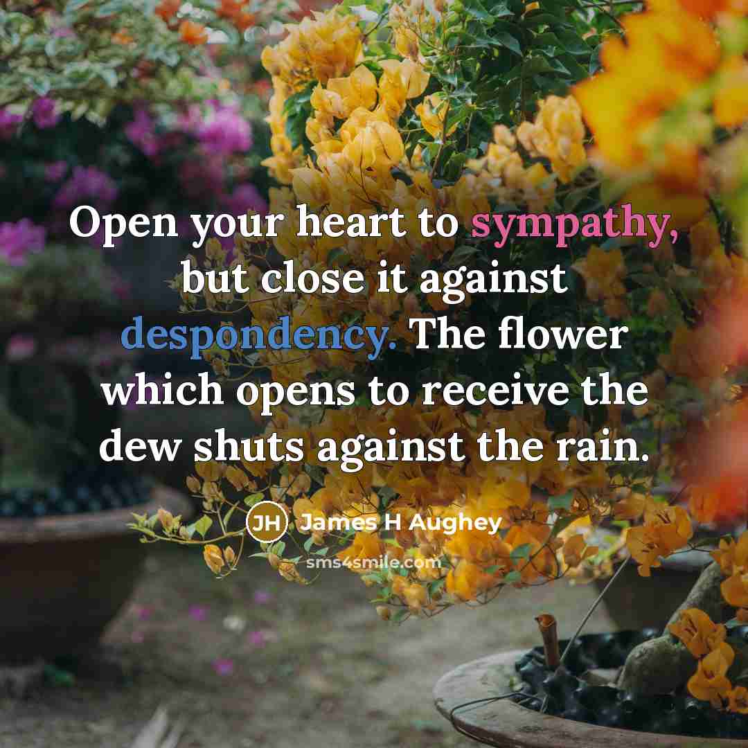 “Open your heart to sympathy, but close it against despondency.…” quote by James H Aughey